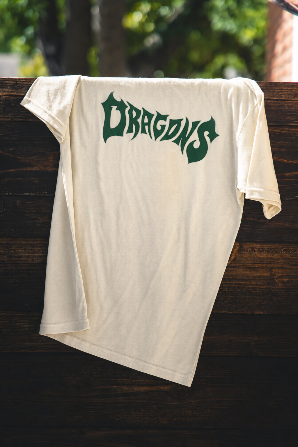 Heavy Metal Dragons